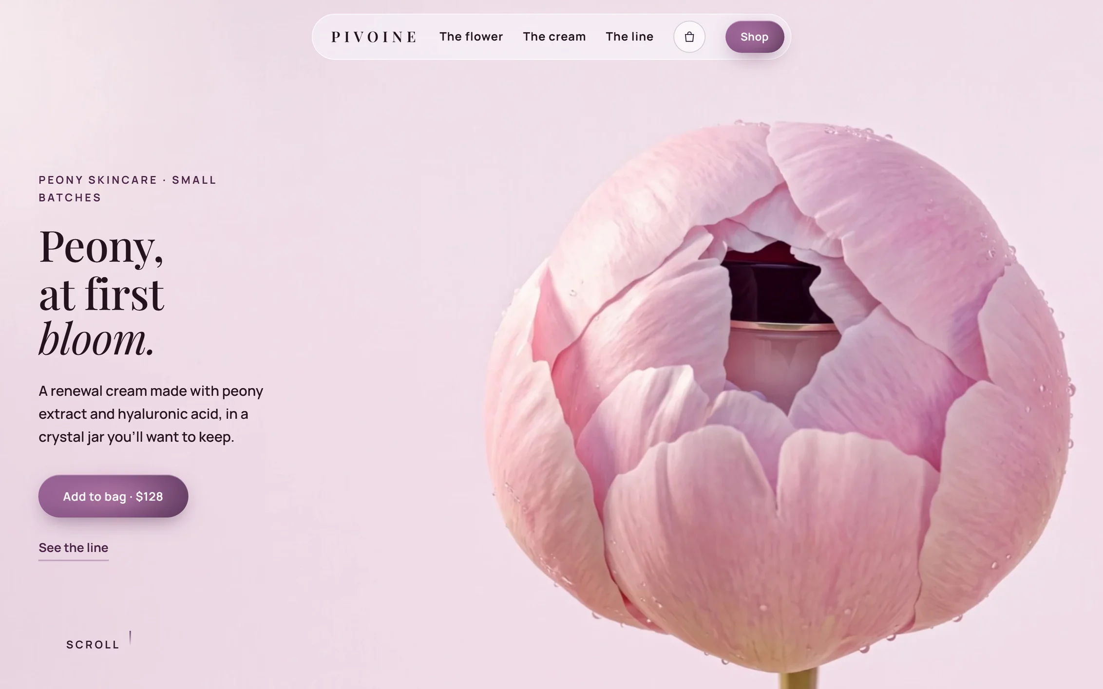Pivoine cream revealed inside a pink peony